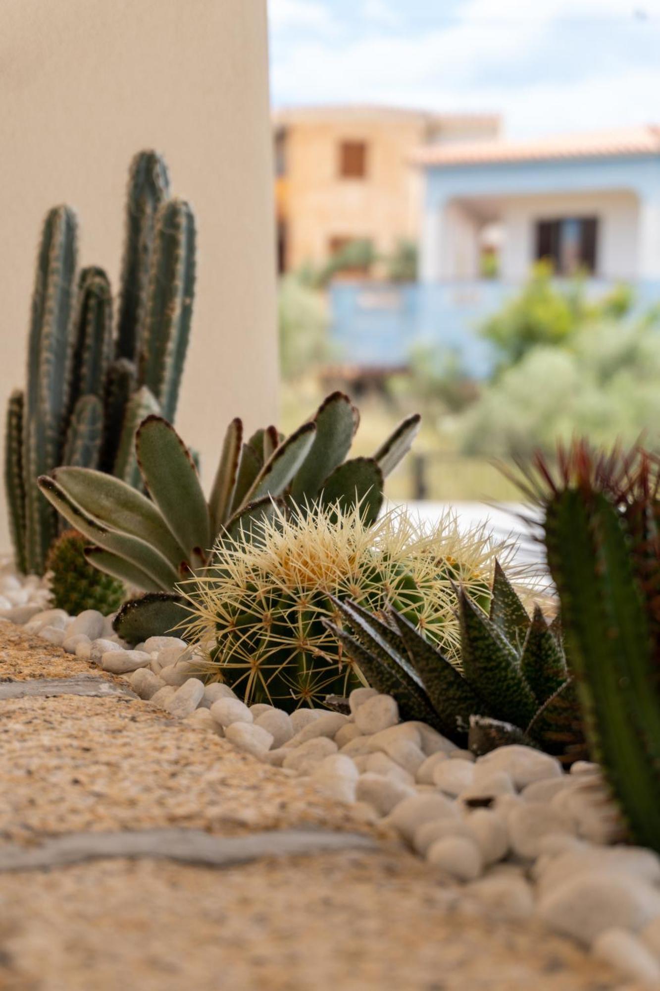 Dicciosu Guest House Budoni Εξωτερικό φωτογραφία